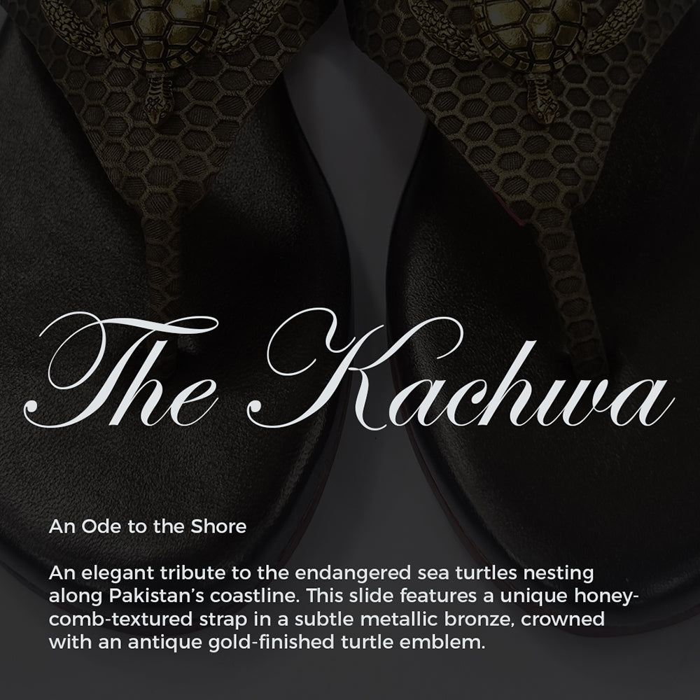 The Kachwa