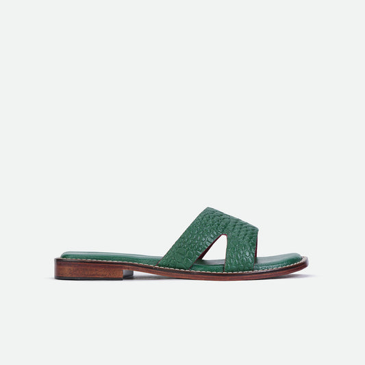 Chaplakk in Ara Green