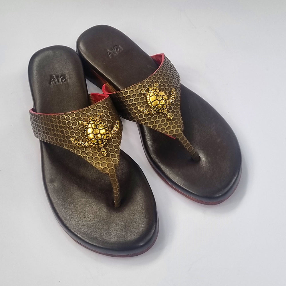 The Kachwa