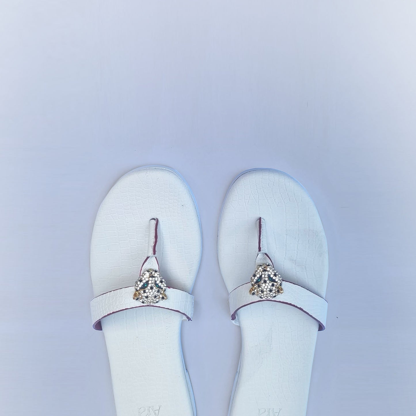 Choti Sherni in Ice White
